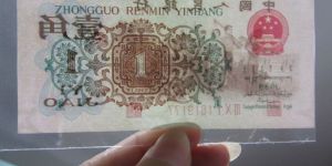 知否知否 硬是绿肥（背绿）红瘦（枣红）