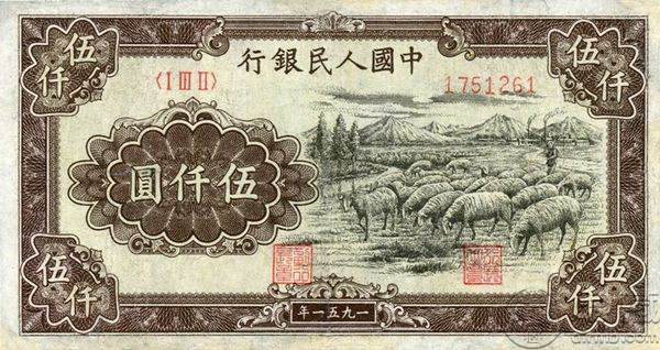 51年5000元牧羊