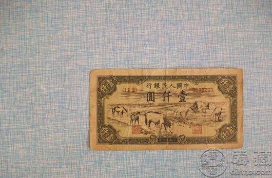 51年1000元马饮水