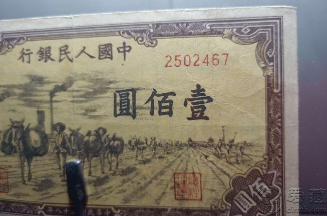 49年100元驮运