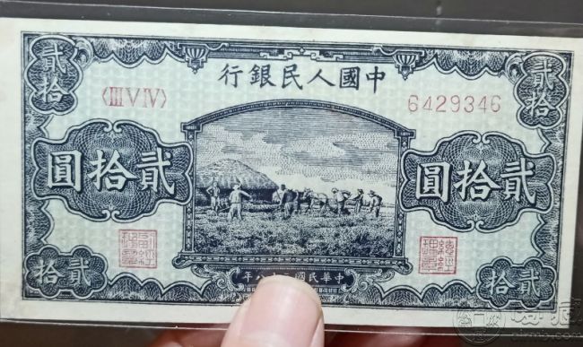 49年20元打场