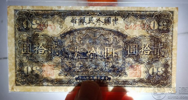 49年20元打场