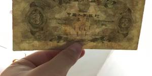 53年3元最新價格，綠三元的價值淺析