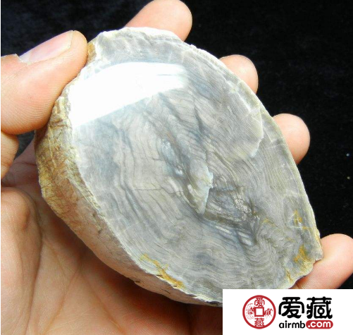 木化石图片和价格行情