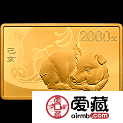 2019年猪年金币150克长方形纪念币