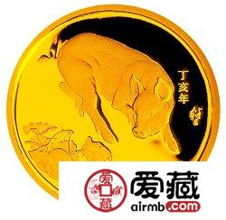 2007中国丁亥猪年金银币1/10盎司金币