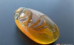 價格最高的琥珀竟是它，小心被假的騙了