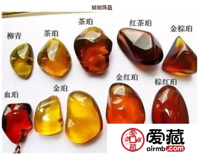 ”猪宝“是什么　鸡身上长的“玉石”堪比５环内一套房的价格？