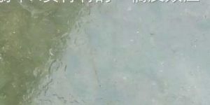 翡翠A货特有的“橘皮效应” 翡翠橘皮效应