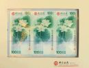 中银100周年纪念钞整版（澳门荷花钞）