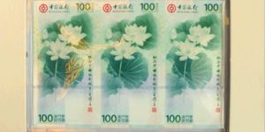 中银100周年纪念钞整版（澳门荷花钞）