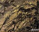 色彩的诗情——林江东的岩彩画印象
