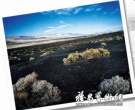 摄影收藏风头劲  摄影作品：艺术品市场新热点