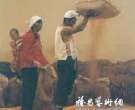 写在“本·色2009”七人油画展之际