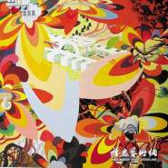 看德国当代艺术家弗兰兹·阿克曼的绘画