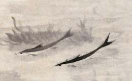 荣宝斋藏品欣赏——《杂画册》十二开