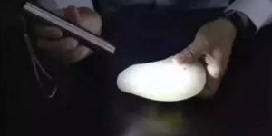 照玉石强光手电筒 如何正确用手电筒鉴定玉石