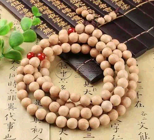 天臺菩提的介紹  故宮天臺菩提樹的特點