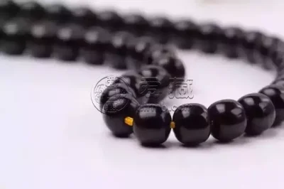 满贯菩提图片介绍  满贯菩提有什么功效