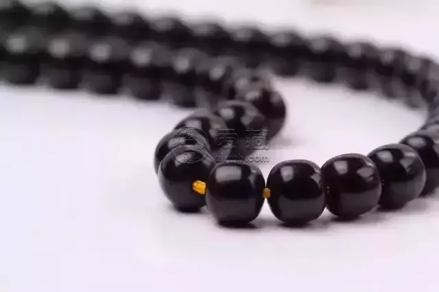 满贯菩提图片介绍  满贯菩提有什么功效