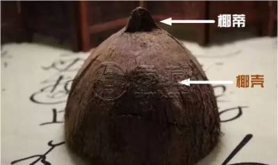 满贯菩提到底是什么做的  椰子料的区别