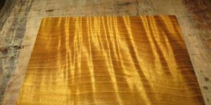 緬甸楠木和金絲楠木的區(qū)別   緬甸楠木和金絲楠木的比較