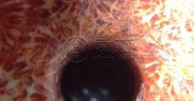 珊瑚玉有假的吗    怎么鉴别珊瑚玉
