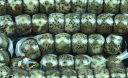 陰皮星月菩提變色的8個過程  怎么盤玩陰皮星月菩提