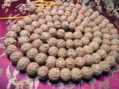 小金刚菩提哪个纹路好   小金刚有什么纹路
