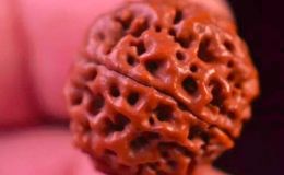 佛螺菩提怎么盤玩   盤玩效果