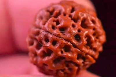 佛螺菩提怎么盘玩   盘玩效果