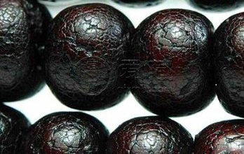 星月菩提變化過程圖片   八個階段變化圖