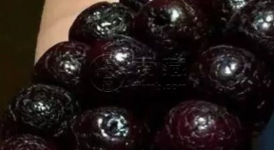 星月菩提变化过程图片   八个阶段变化图