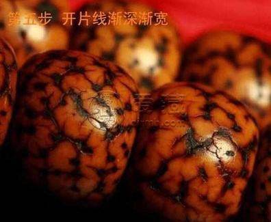 星月菩提变化过程图片   八个阶段变化图
