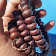 紫金缽盂菩提怕汗嗎  紫金缽盂菩提怎么盤