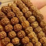 小金刚什么纹路排行榜  小金刚纹路介绍