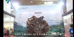 5亿天价崖柏根雕图片   崖柏价值为什么那么高