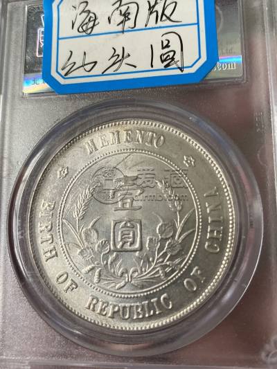 海南版孙小头行情 海南版孙小头价格