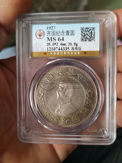 海南版孙小头行情 海南版孙小头价格
