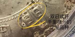 孙小头双日开银元什么样 快速辨识技能
