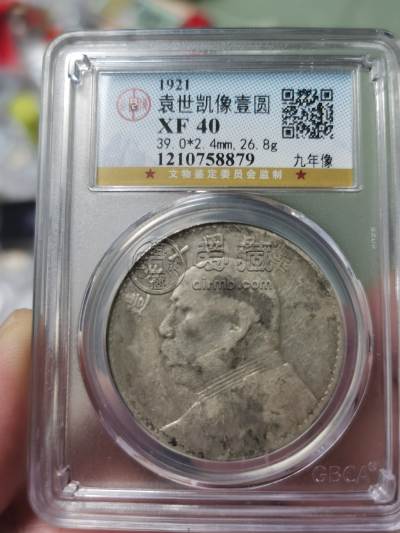 10年袁大头版别图及价值 值多少钱