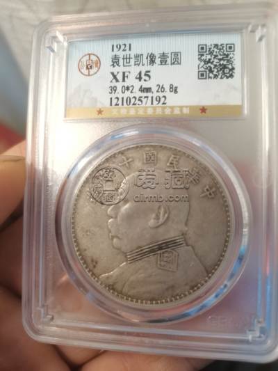 袁大头十年造图片及真品价格 值多少钱