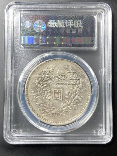 袁大头九年版别及图片 值钱吗