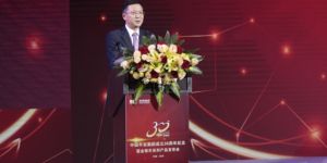 中国平安集团成立30周年熊猫金银币加字8克普制金币 价格最新