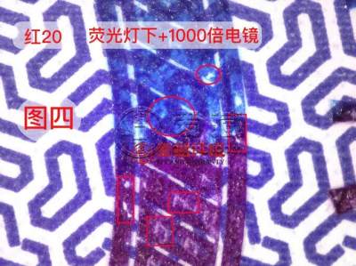 冬奥钞红20流水号全面公布，市场求购价已达到10000元