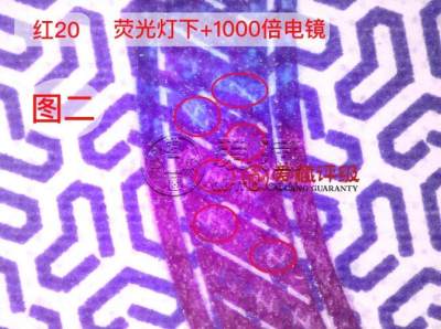 冬奥钞红20流水号全面公布，市场求购价已达到10000元