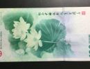 荷花钞100元最新价格 澳门荷花钞价格