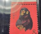 一輪生肖猴票價格 猴票郵票值多少錢