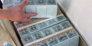 威海回收钱币 威海高价上门回收人民币