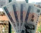 8010元人民币价格  8010元人民币最新价格
